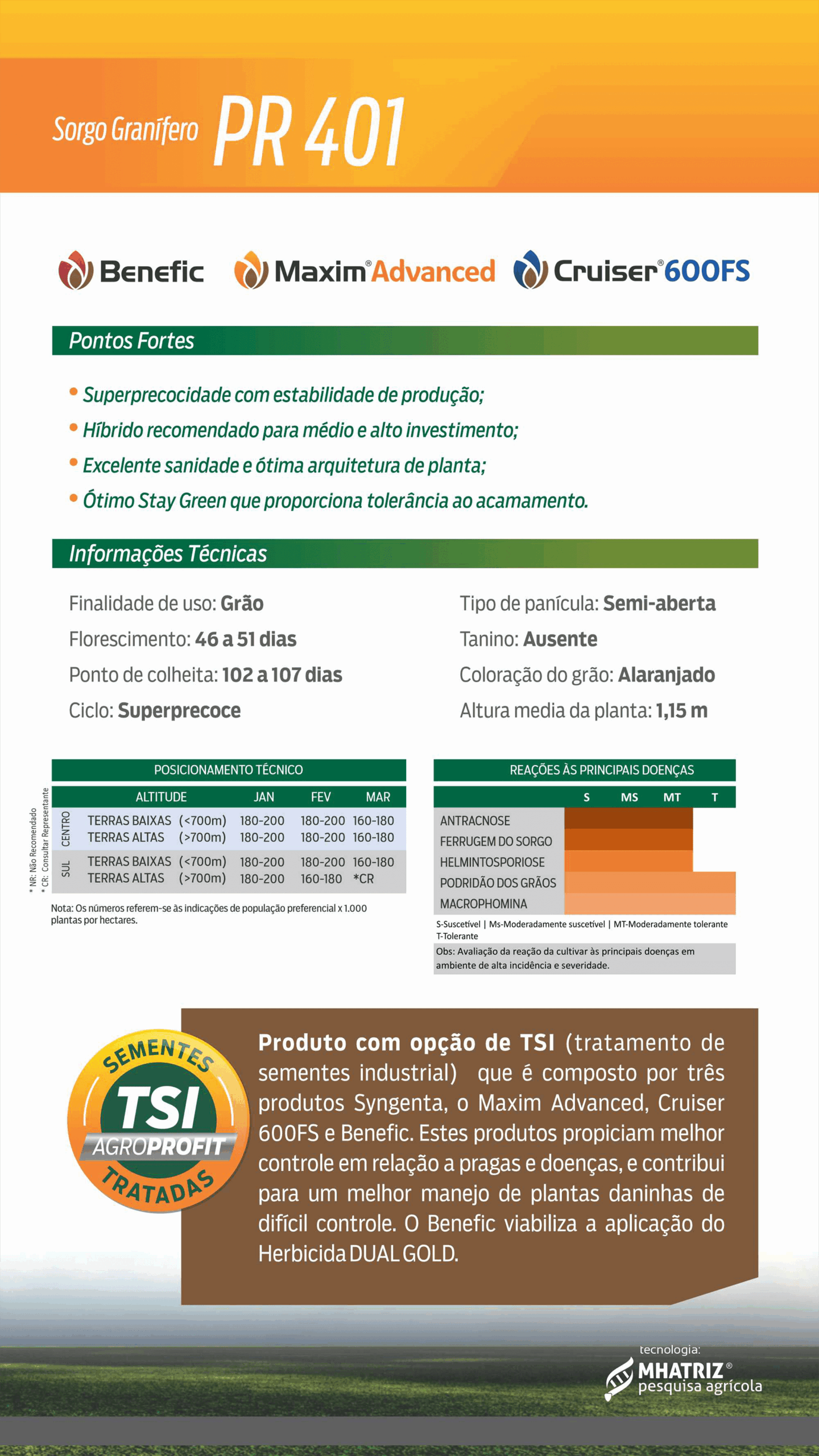 pr401-B-min